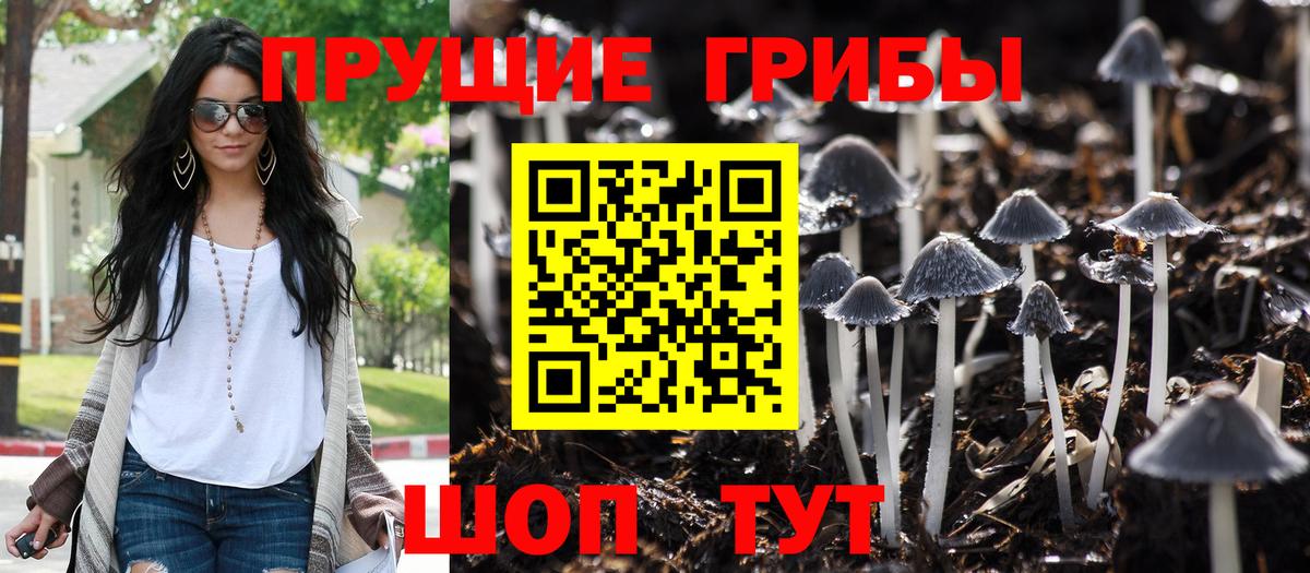 Псилоцибиновые грибы мицелий Тольятти